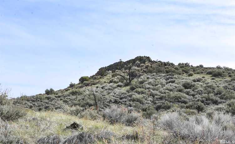 tbd China Springs Gardnerville, NV 89410