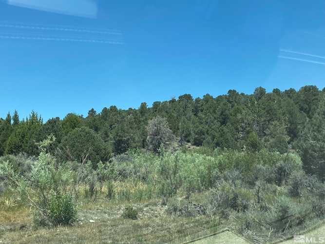 tbd P14 (77) Minden, NV 89423