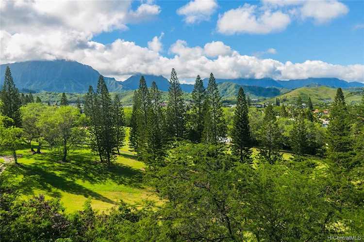 1150C Kamahele Street #3001 Kailua, HI 96734