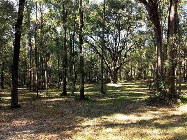 0 S Foxwood Dr Tallahassee, FL 32309-0207 in Foxwood Glen Photo 1