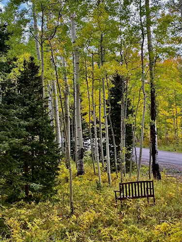 Lot 58 Fox Farm Rd #58 Telluride, COLORADO 81435