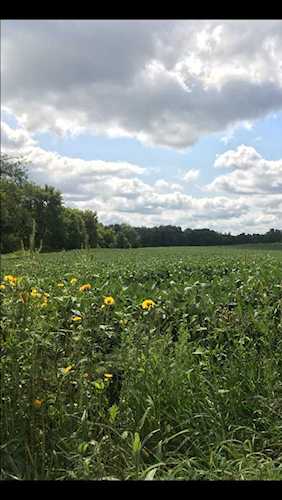 1405 Hamel Road Medina, MN 55340