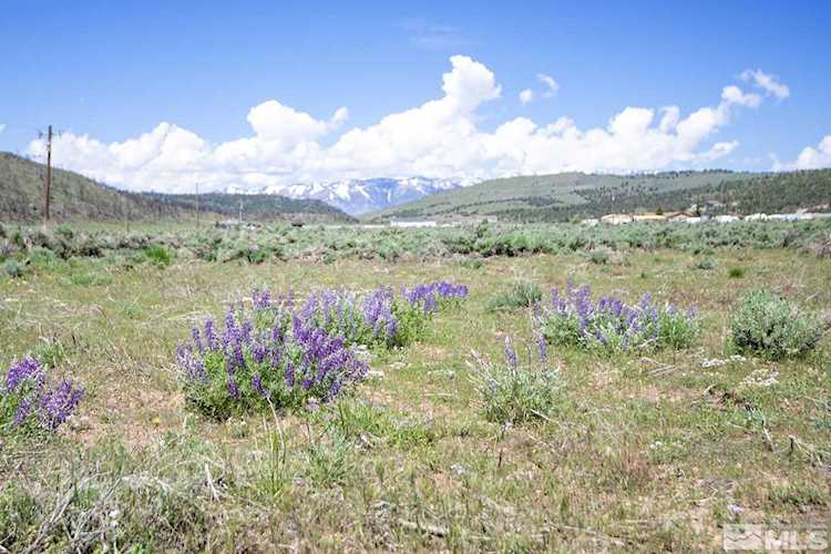 2764 New Hope Dr Gardnerville, NV 89410-0000