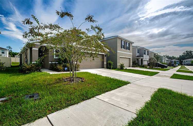 9020 Water Chestnut Dr Tampa, FL 33637