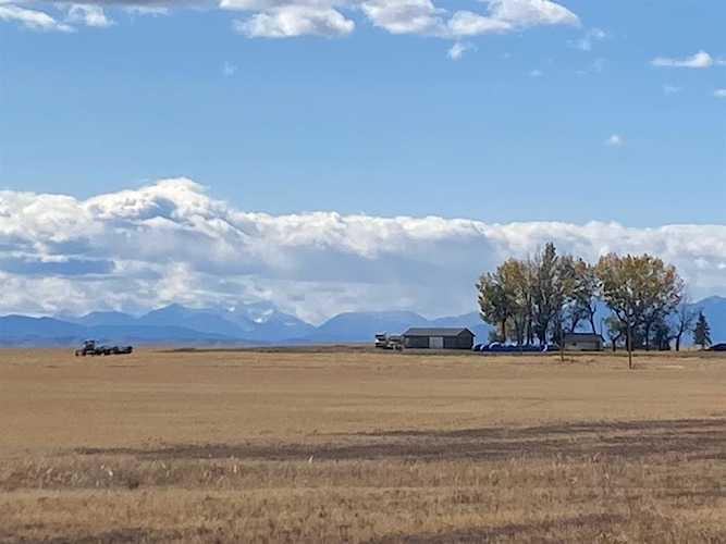 Cole Trail Rural Foothills County, AB T1V 1M3