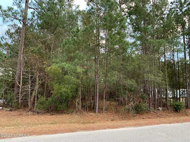 218 Bellhammon Forest Dr, Rocky Point, NC 28457 | MLS #100364767 | Rocky Point, NC Homes For Sale Photo 1