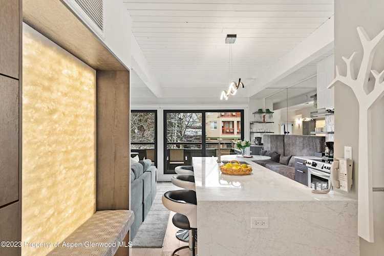 617 E Cooper Ave Aspen, CO 81611