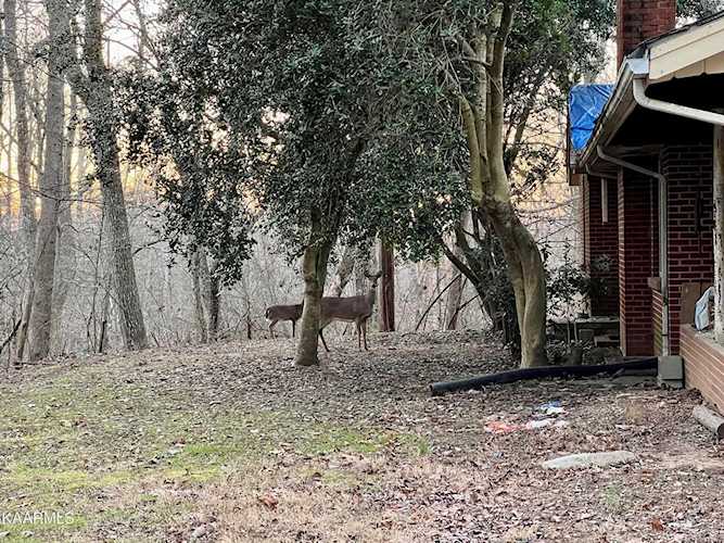 2440 Kingston Hwy Kingston, TN 37763