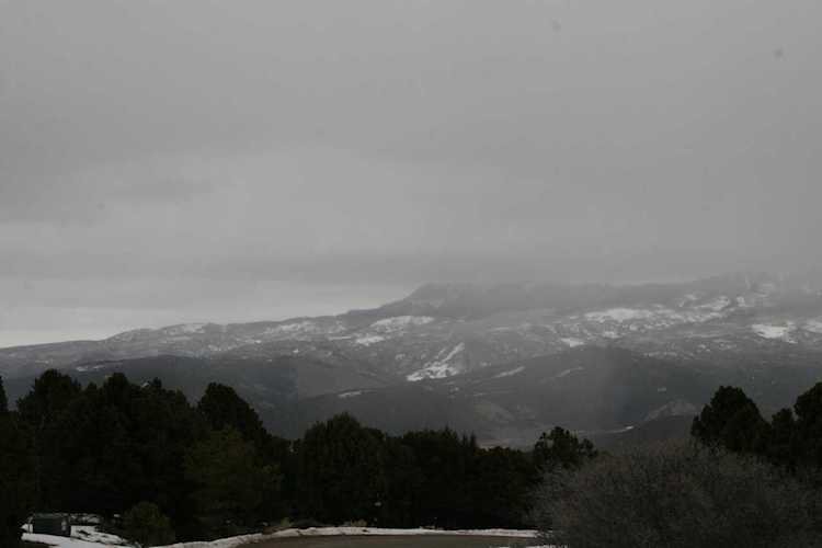 TBD Pine Dr #59 Ridgway, COLORADO 81432