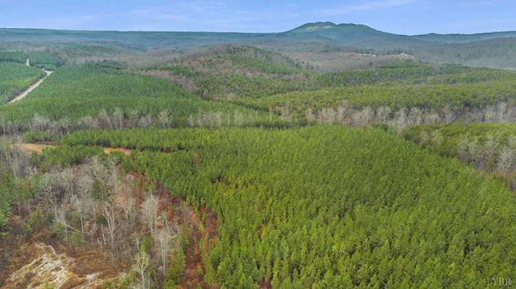 0 Chellis Ford Rd Lynch Station, VA 24571
