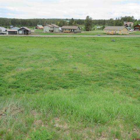 277 Morro Circle Pagosa Springs, CO 81147