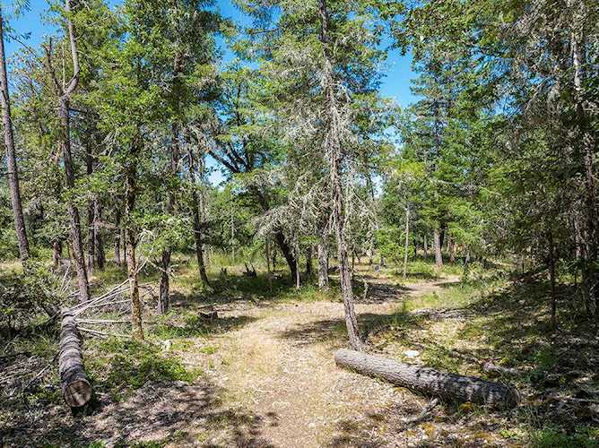 15150 Water Gap Rd Williams, OR 97544