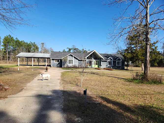 10027 NW Lake Mystic Lee Duggar Rd Bristol, FL 32321 in None Photo 1