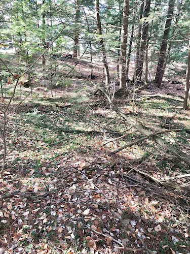 00 Beaver Glen Rd Hillsborough, NH 03244