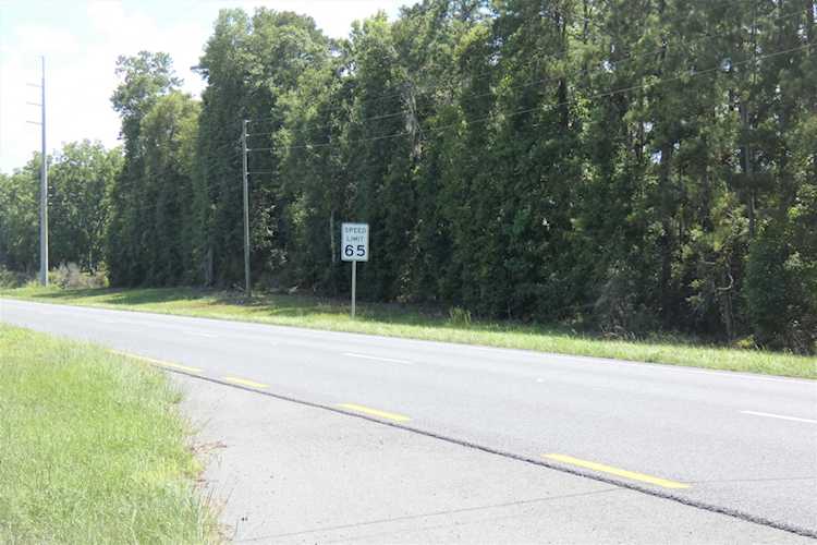 TBD S Jefferson Hwy Lamont, FL 32336