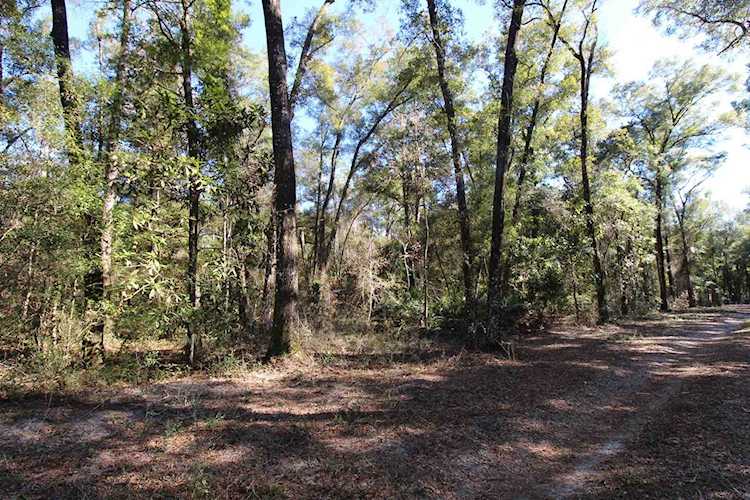 65 Simmie Dr Crawfordville, FL 32327