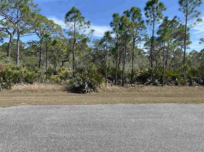 56 Warbird Trl Ochlockonee Bay, FL 32346