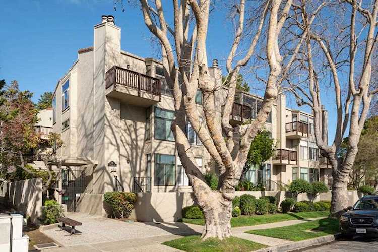 11 Hayward Ave #2003 San Mateo, CA 94401