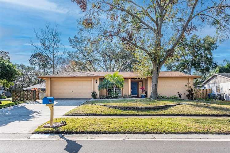 4022 Bell Grande Dr Valrico, FL 33596
