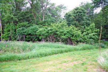 Lot 2 Sand Ridge Dr Mckinley Twp, MI 48755