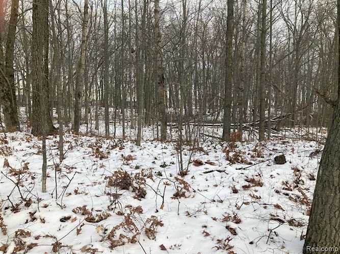 5 & 6 Mcbride St Lake Twp, MI 48725
