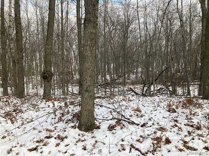 Lot 1 & 6 B St Lake Twp, MI 48725 | MLS 20221063334 Photo 1