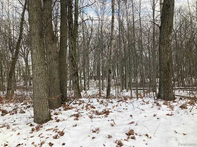 Lots 1-4 B St Lake Twp, MI 48725