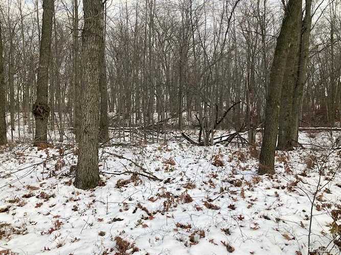 Lots 2-5 Mcbride St Lake Twp, MI 48725
