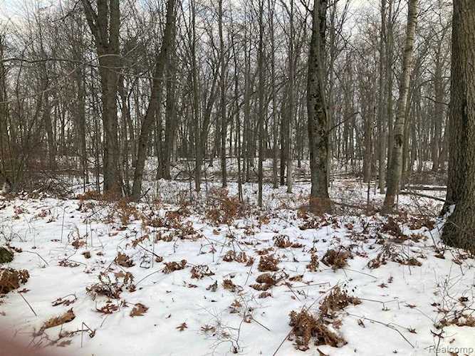 Lots 15 & 16 C St Lake Twp, MI 48725 | MLS 20221063320 Photo 1