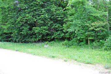 3520 Stagecoach Trail Lot 1 Mckinley Twp, MI 48755