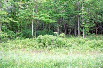 Lot 6 Stagecoach Trail Mckinley Twp, MI 48755