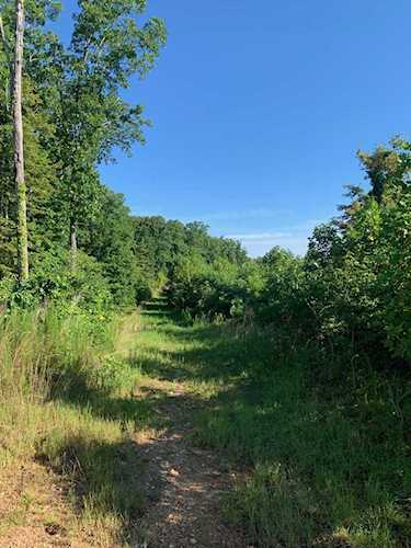 6 Overlook Trail Lobelville, TN 37097