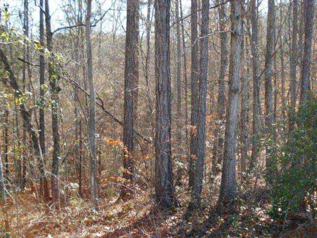 Lot 26 Dakota Court Fortson, GA 31808