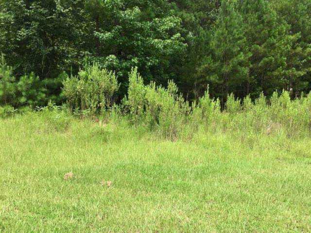 Lot107 Earthwood Loop Fortson, GA 31808