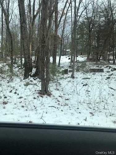 Birch Road Wurtsboro, NY 12790