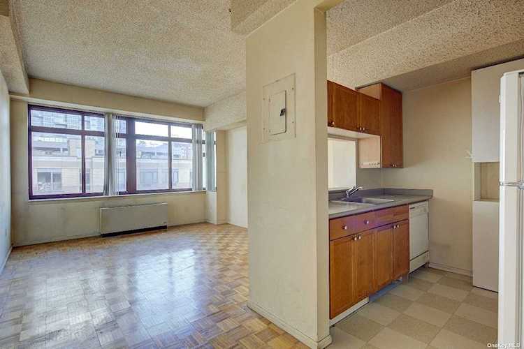 4-74 48th Avenue #5V Long Island City, NY 11109