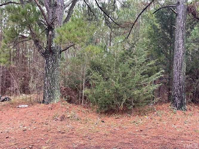Lot #2 Timber Drive Hillsborough, NC 27278