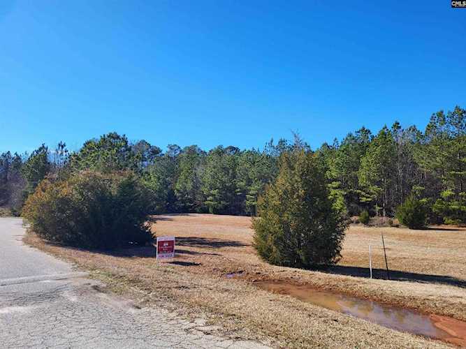 0 Wilson Park Dr Newberry, SC 29108