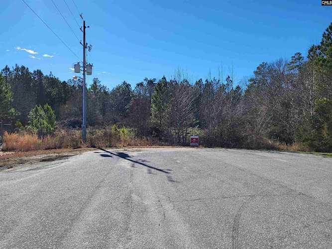 0 Wilson Park Dr Newberry, SC 29108