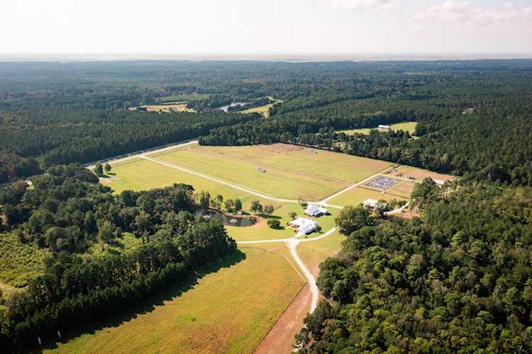 10970 Hwy 17 McClellanville, SC 29458