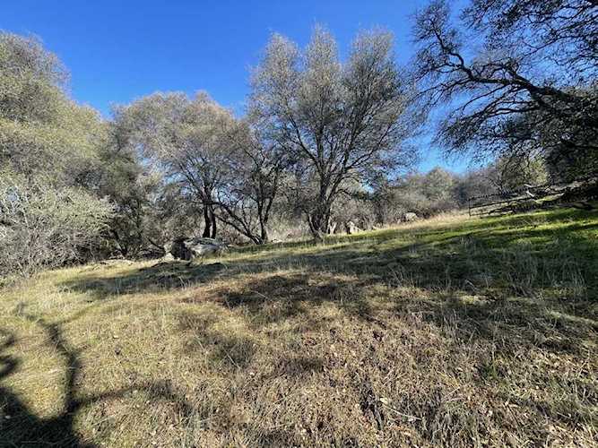 1 Lavender Ln Coarsegold, CA 93614