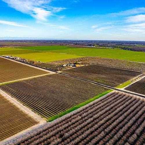4166 E Blanchard Avenue Laton, CA 93242