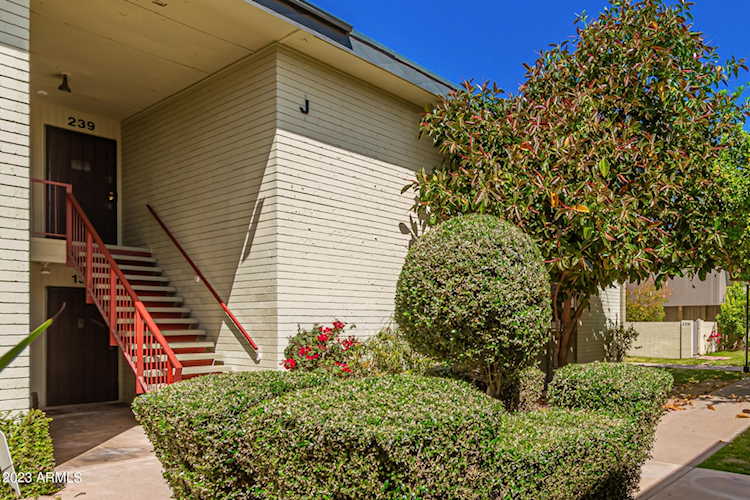 6767 N 7th Street #237 Phoenix, AZ 85014