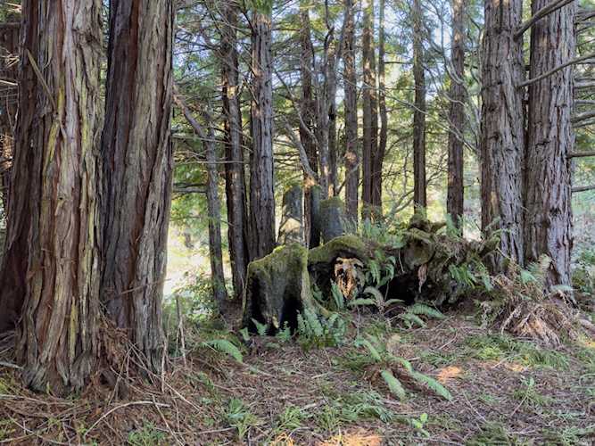 41514 Raven Court The Sea Ranch, CA 95497