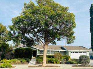 6285 Avenida Ganso Goleta, CA 93117 | MLS 23-247 Photo 1