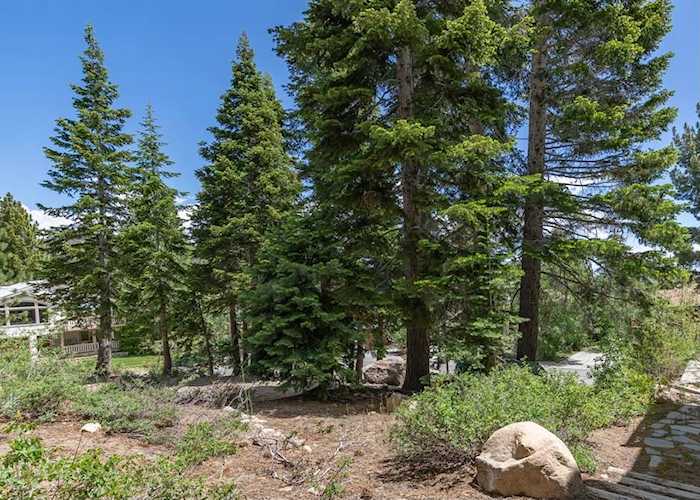 130 Monterey Pine Mammoth Lakes, CA 93546