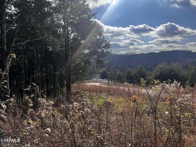 Lot 38 Quiet Cove Way Dandridge, TN 37725