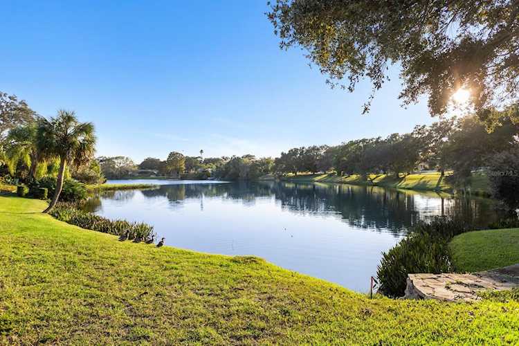 1309 Fairway Dr Dunedin, FL 34698