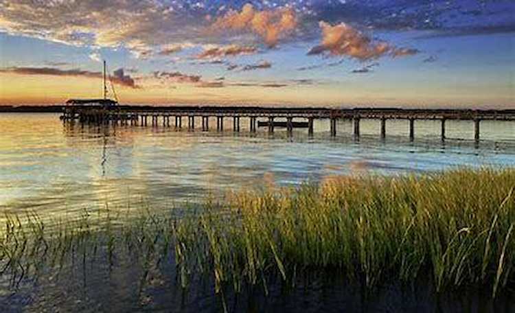 408 Blowing Fresh Dr Charleston, SC 29492