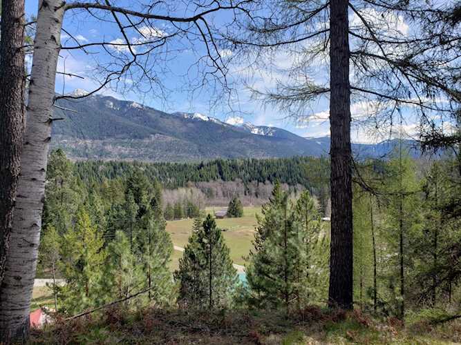 4340 Lake Creek Rd Troy, MT 59935